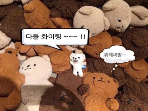 로니 tweet media