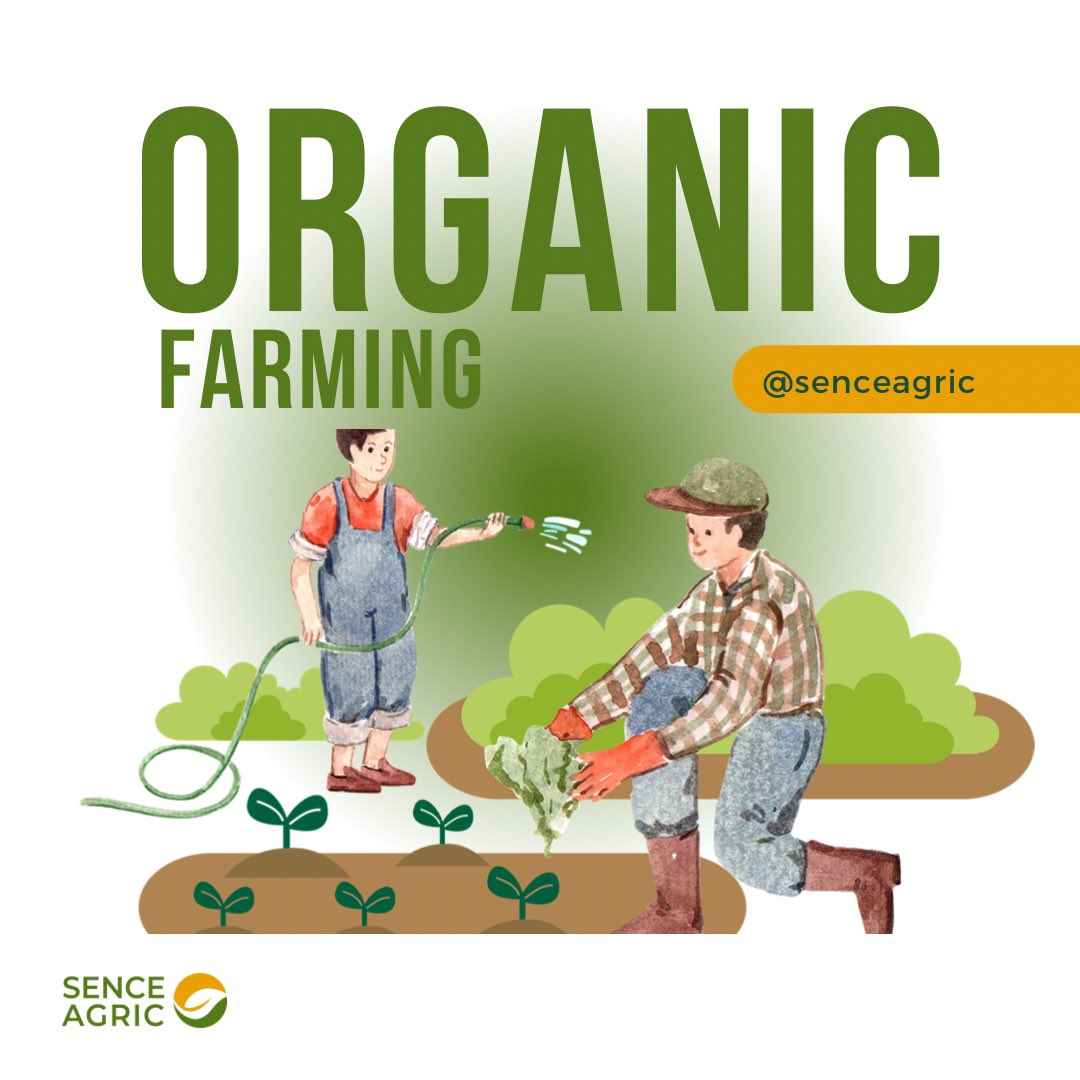 SENCE Agric tweet media