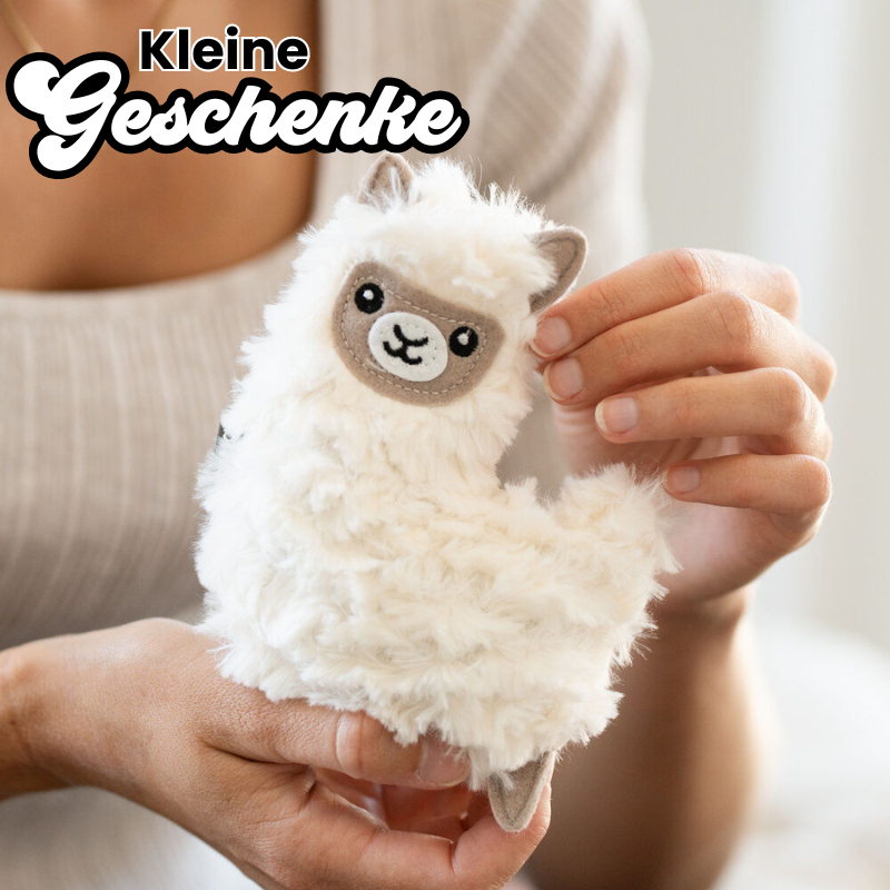 radbag_de's tweet photo. Entdecke die besten Geschenkideen bei radbag! πβ¨