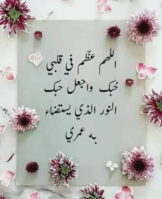 captenessam11's tweet image. 