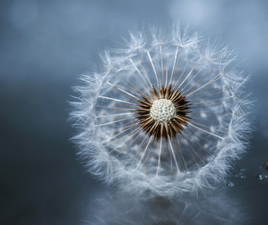 Eline Kieft (@elinekieft) on Twitter photo My first Medium post, Reframe Your Spirituality, has just gone live - will you spread the love and follow me there? ohttps://link.medium.com/2ojAnCZGdDb  #medium #blog #spirituality My first Medium post, Reframe Your Spirituality, has just gone live - will you spread the love and follow me there? ohttps://link.medium.com/2ojAnCZGdDb  #medium #blog #spirituality