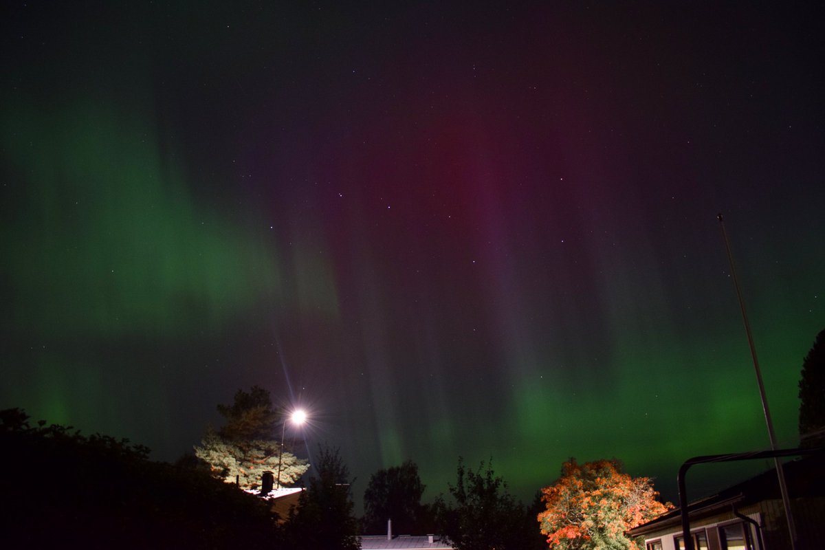 BrianSuomi's tweet photo. Some more images from the garden last night…. https://t.co/QjoxnHUr3w