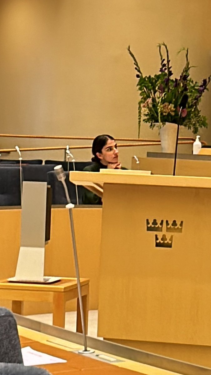 Vi hörde precis <a href="/RPourmokhtari/">Romina Pourmokhtari</a> säga i riksdagens kammare att hon betackar sig för oppositionens hjälp när det kommer till elsystemet. Hur ska det tolkas i förhållande till den inbjudan som <a href="/BuschEbba/">Ebba Busch</a> precis skickat ut om samtal? Har de samordnat den ståndpunkten?