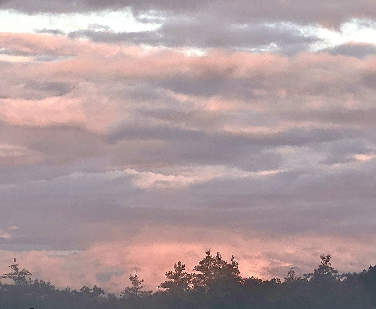 Wool_Witch's tweet photo. Reverse sunrise this morning, West Baldwin, Maine. #sunrise #photograghy #landscapes #photographylovers https://t.co/Cx1HFSn18k