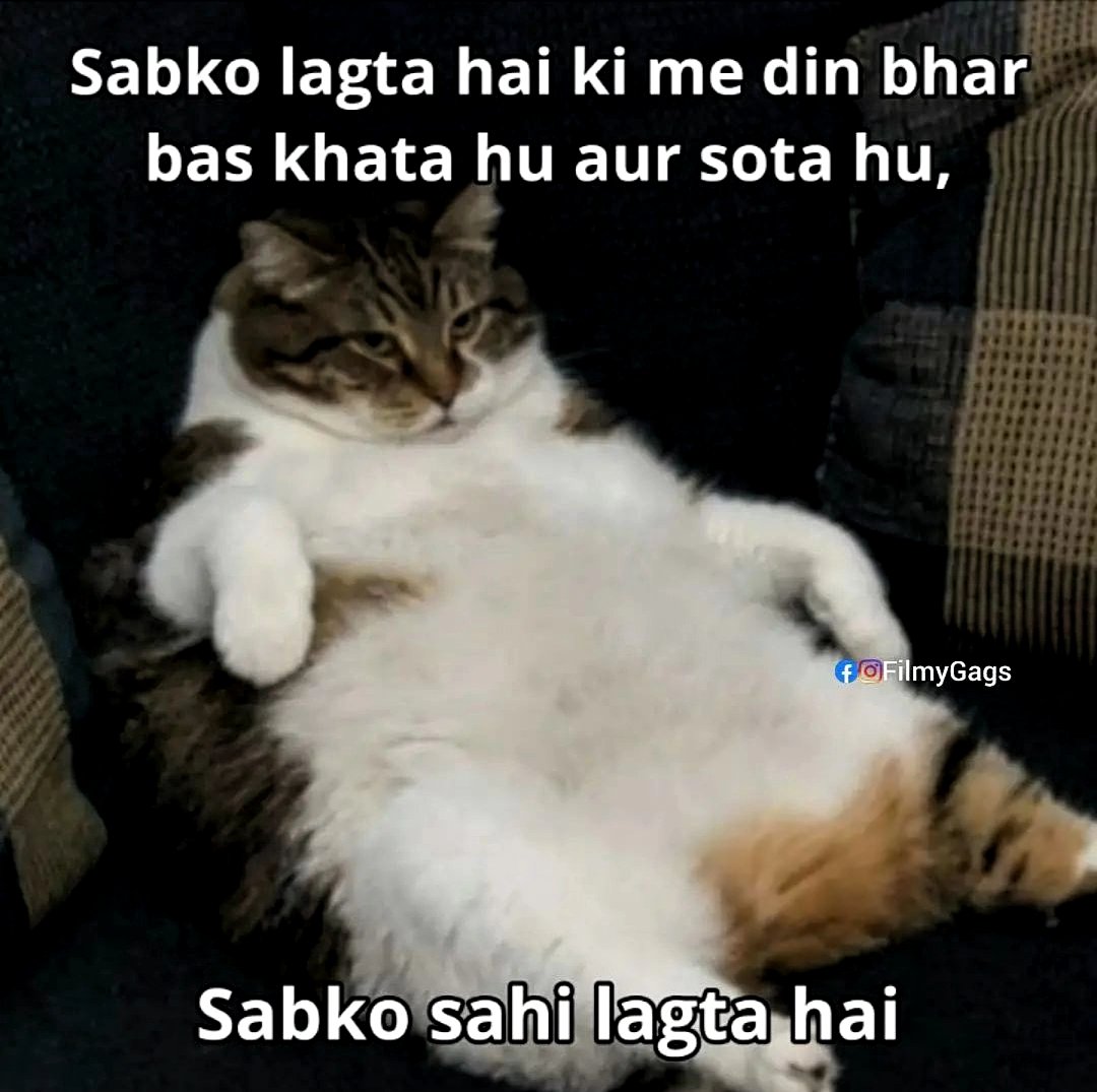 Its_AnimeshS's tweet image. Me being me.

#EatSleepRepeat