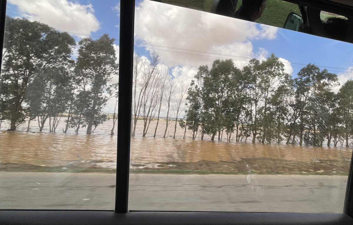 AnnaOsius's tweet photo. Auf dem Weg von #Benghazi Richtung #Darna #libya …neben der Straße stehen noch immer weite Flächen unter Wasser #flooding https://t.co/yQHX6r8D3x