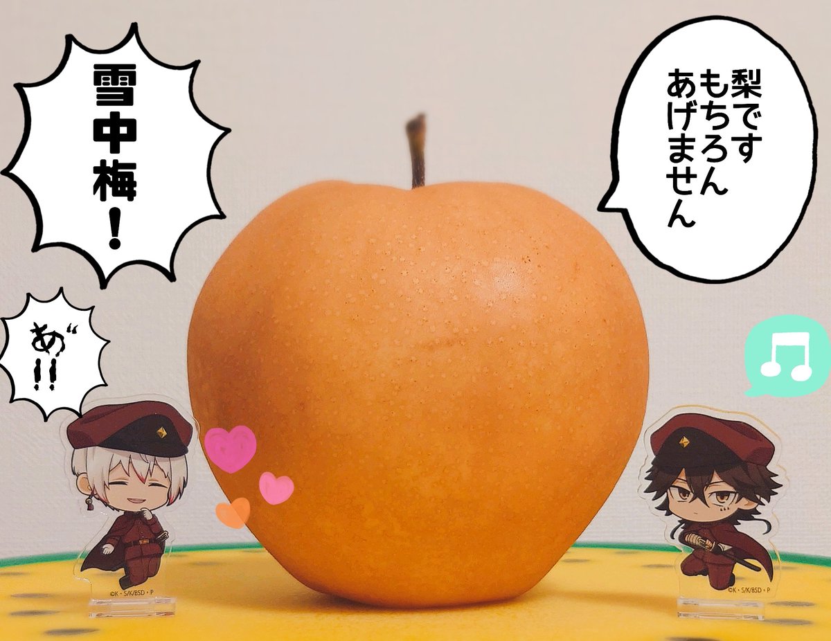 とっても大きい梨もらった〜!! 