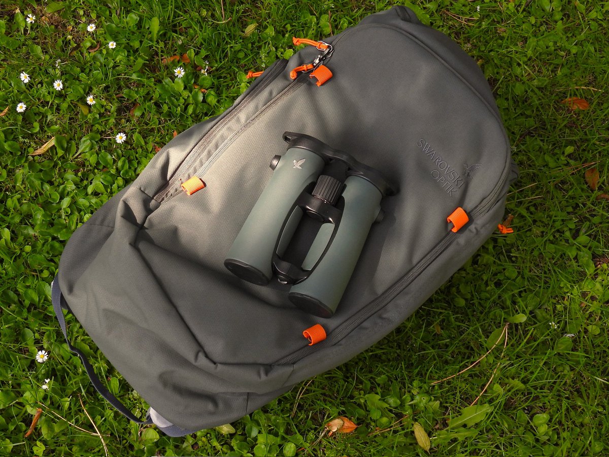 Choose a #FREE @SwarovskiOptik Birding BP Backpack 24 with your purchase of any pair of #Swarovski EL #binoculars.

8.5x42 |  10x42  |  10x50  |  12x50

#fortheloveofnature #gobirding
👇
birders-store.co.uk/swarovski-el-8…