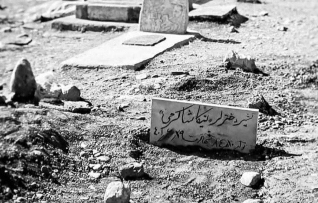 شیر دختر لر #نیکا_شاکرمی
 
عجب غربتی...