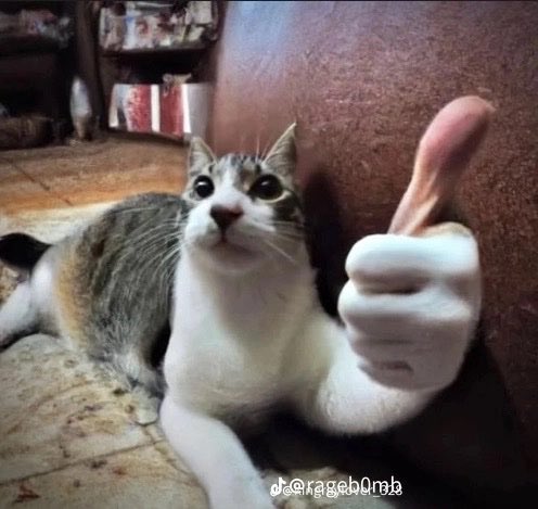 kd_slow's tweet photo. @catshouldnt https://t.co/dQHHg3QG2p