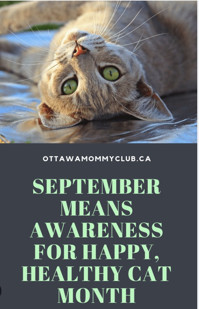 Helen Lane tweet media