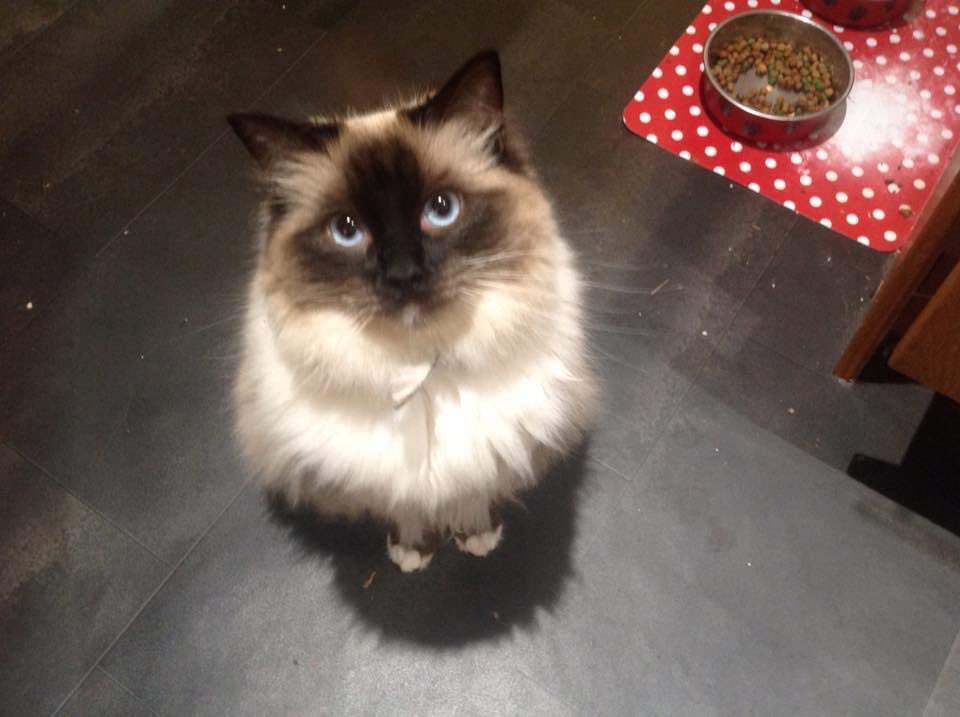 Helen Lane tweet media