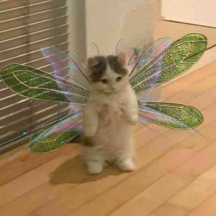 _sb0916's tweet photo. 🧚🏻‍♀️💖 https://t.co/Wdrj4Xsu1Q