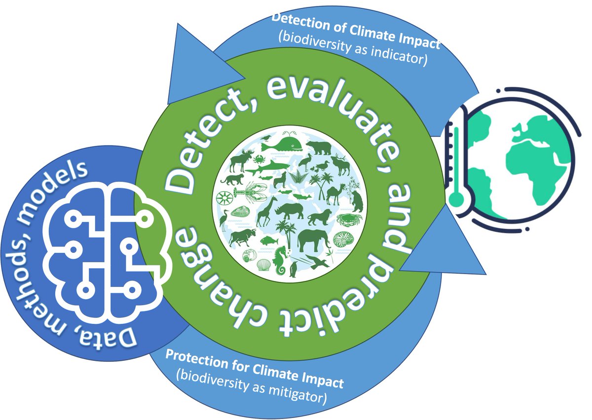 Thrilled to announce our new Global Center in AI and Biodiversity Change (ABC) as one of seven NSF-funded Global Centers in Climate Change and Clean Energy. 

Prospective postdocs / interns interested in AI + biodiversity, please reach out to me by email.

mcgill.ca/research/chann…