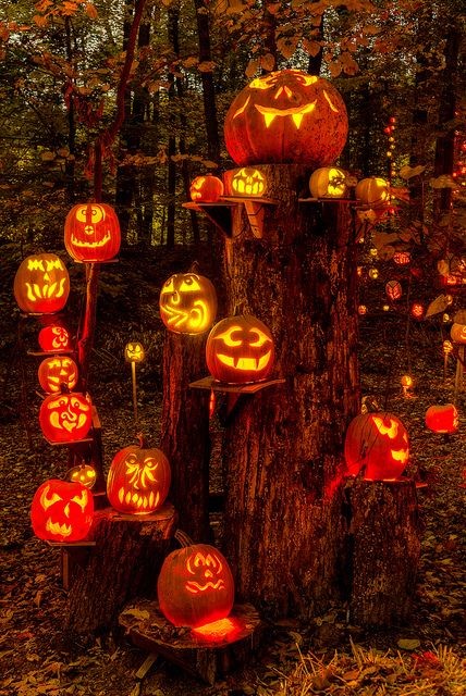 Infinitydecor0's tweet image. Halloween