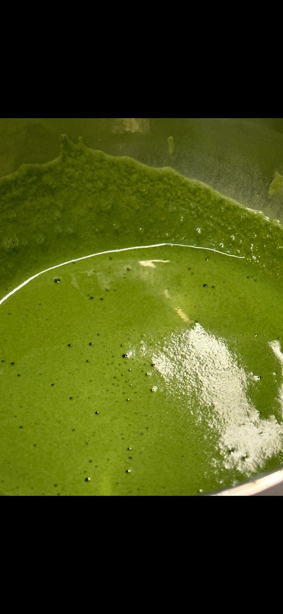 𓆩⁵⁴𓆪. tweet media