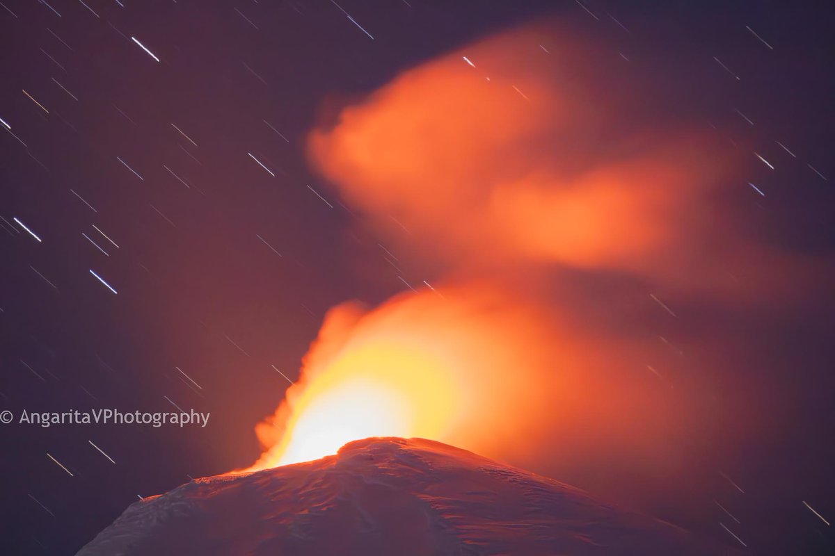 AngaritaVPhotography tweet media