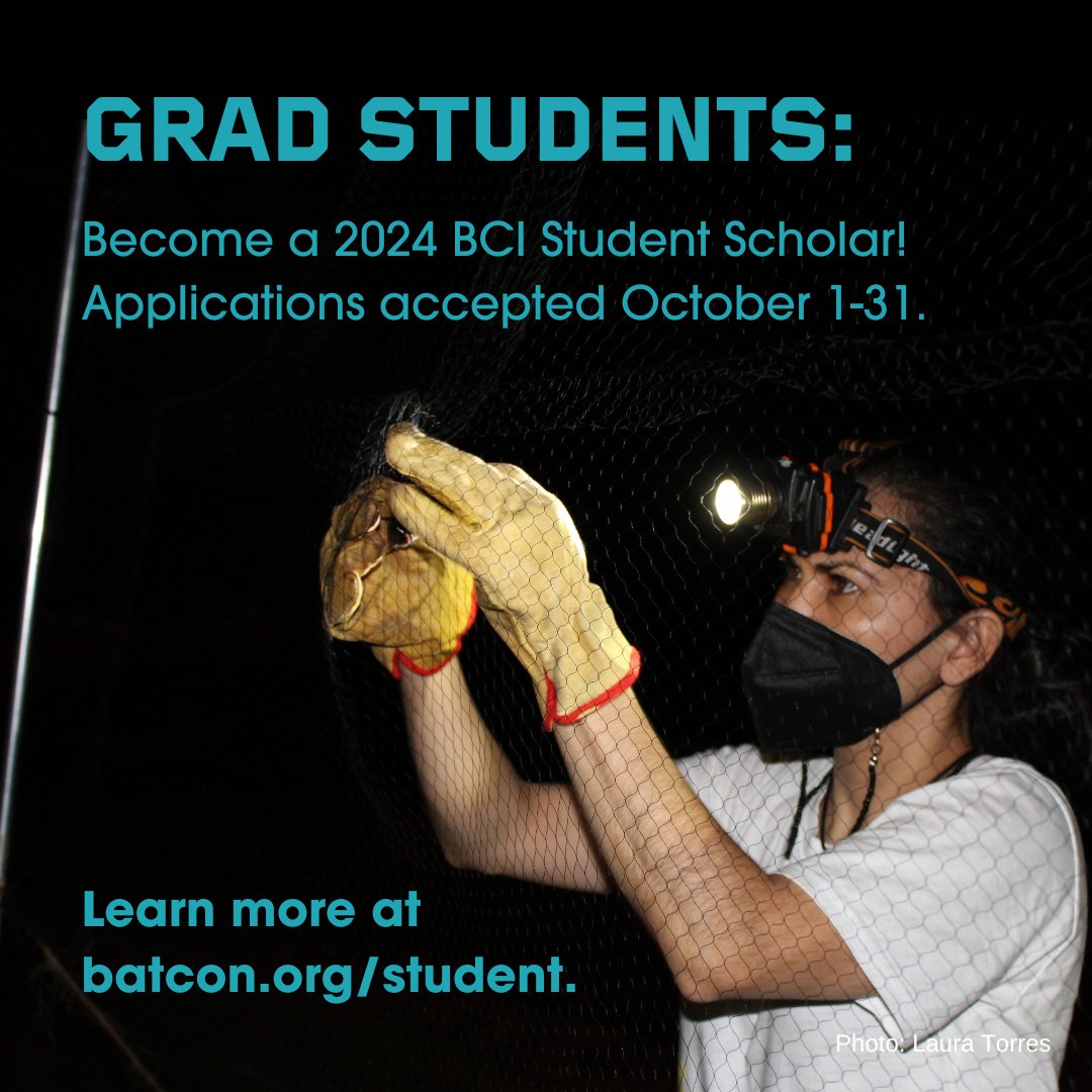Are you a Grad student in good standing with a recognized academic institution? Become a 2024 BCI Student Scholar! Beginning October 1 you can apply to receive financial support for your bat conservation research project. Learn more at batcon.org/student