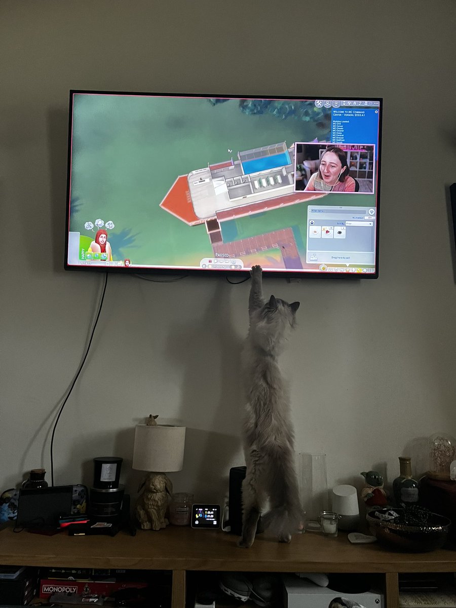 SameOldDanielle's tweet photo. @lilsimsie Dixie sends his love 💕 https://t.co/NG4IcjTBpe
