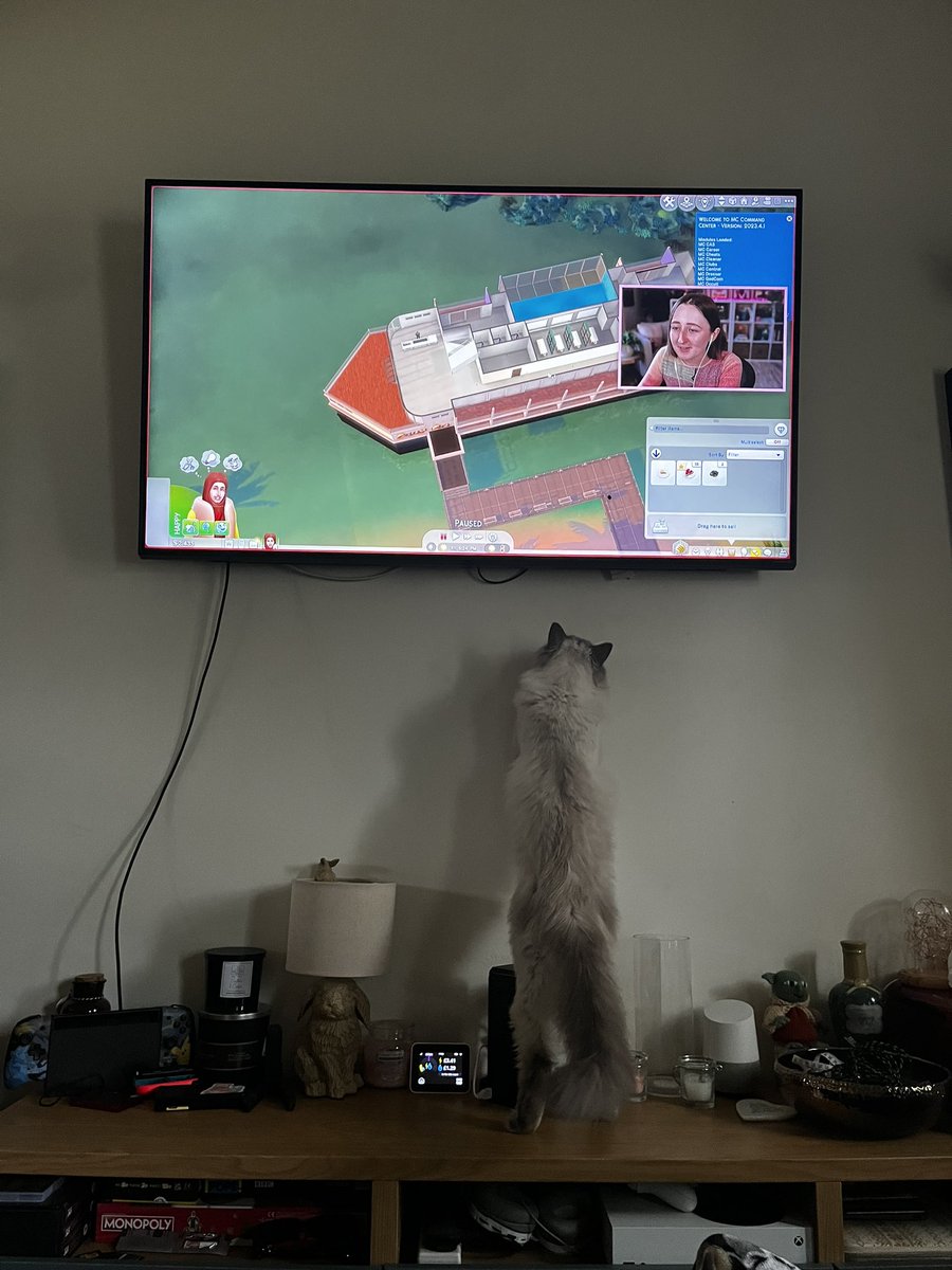 SameOldDanielle's tweet photo. @lilsimsie Dixie sends his love 💕 https://t.co/NG4IcjTBpe