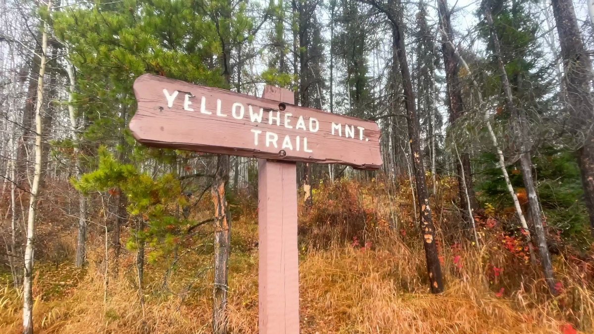 Yellowhead Mountain has a trail following the AB/BC border
#mountrobsonpark #jasperhiking #hikejasper #hikebc #yellowhead #hikingbc #bctrails #yellowheadmountain #yellowheadlake #dividetrail #continentaldivide