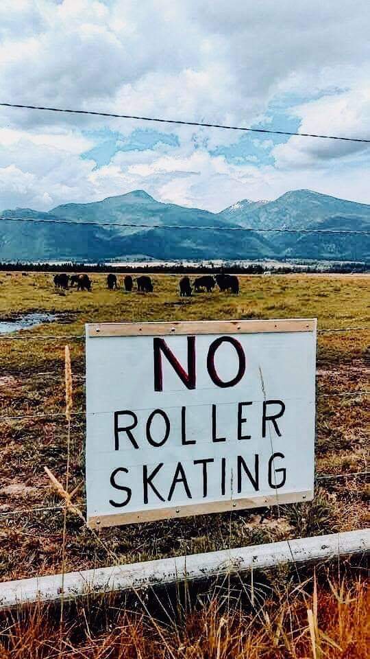 Jen4 Jordan; finger smasher & fierce bunny. tweet media