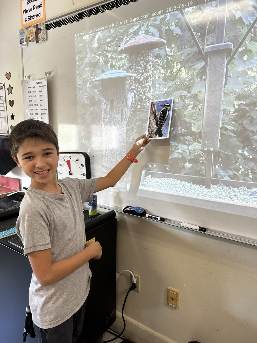 5H saw on of the birds we were drawing on the <a href="/Cornell/">Cornell University</a> feedercam!