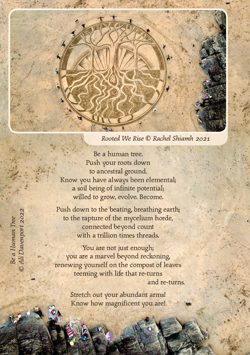 Here's my poem from next year's Earth Pathways diary. Contributions invited for 2025 (by 31st Oct 23). You can also buy copies of next year's calendar and diary. They're really inspiring and beautiful! earthpathwaysdiary.uk @EarthPathways #love #earth #poetry