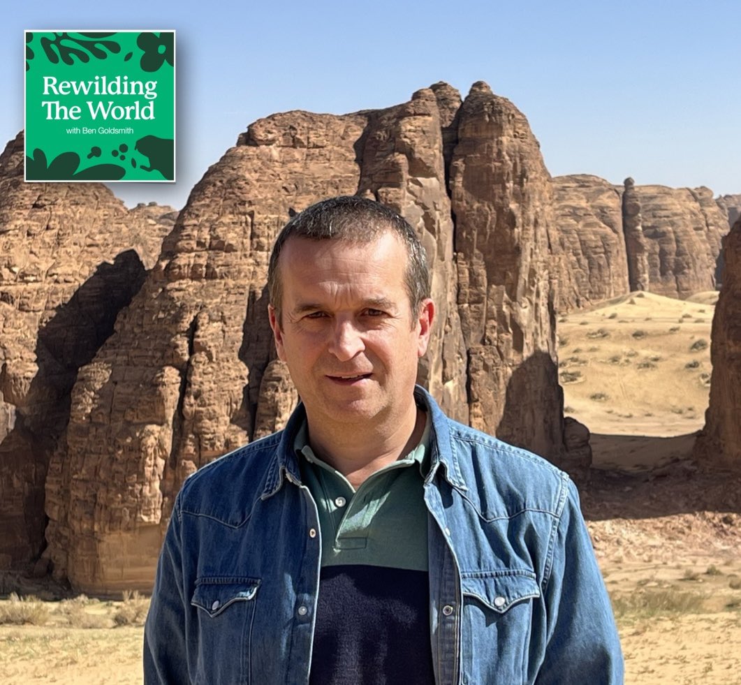 Episode two in this series of #rewildingtheworld is out tomorrow.  

On this week’s episode I speak to @drstephenb123, Wildlife and Natural Heritage Executive Director at the Royal Commission for AlUla in Saudi Arabia. He and his team are responsible for one of the world’s…