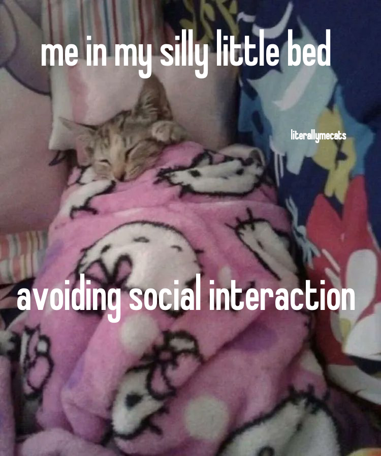 literallymecats's tweet photo. https://t.co/ekQDKBB1E8