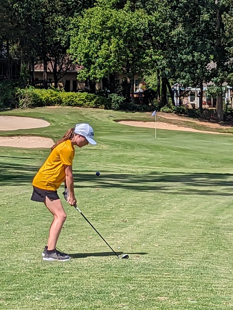 Chip Whitt tweet media