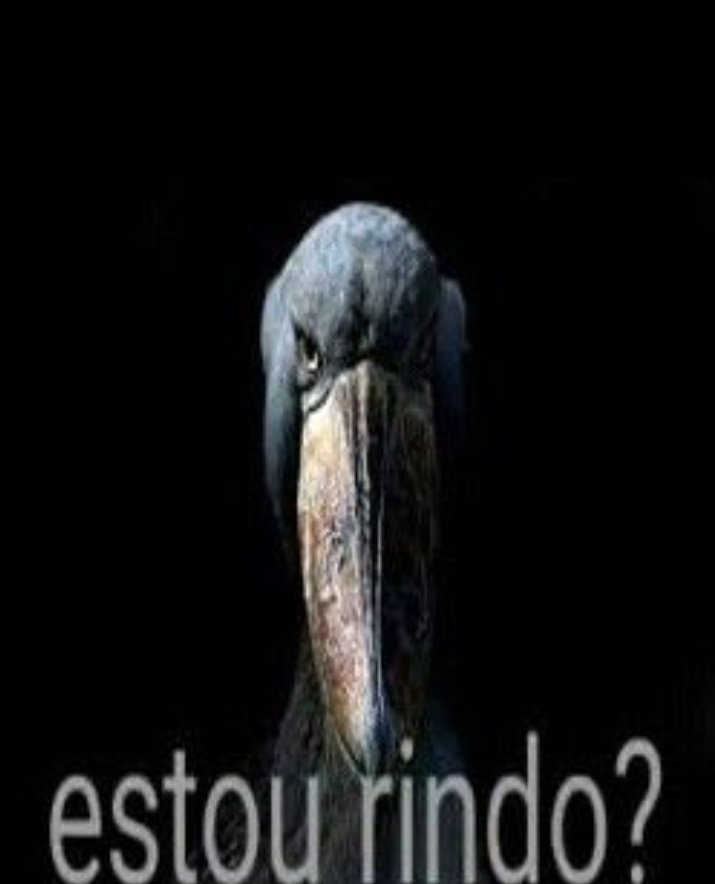 JingleDrawer's tweet photo. @peixeaquatico https://t.co/1mL5jWS1ew