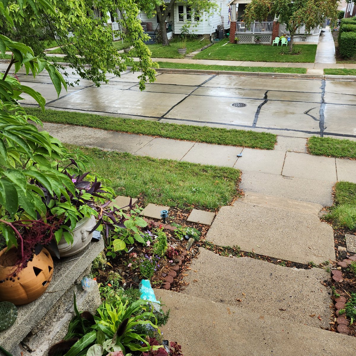 Jen4 Jordan; finger smasher & fierce bunny. tweet media