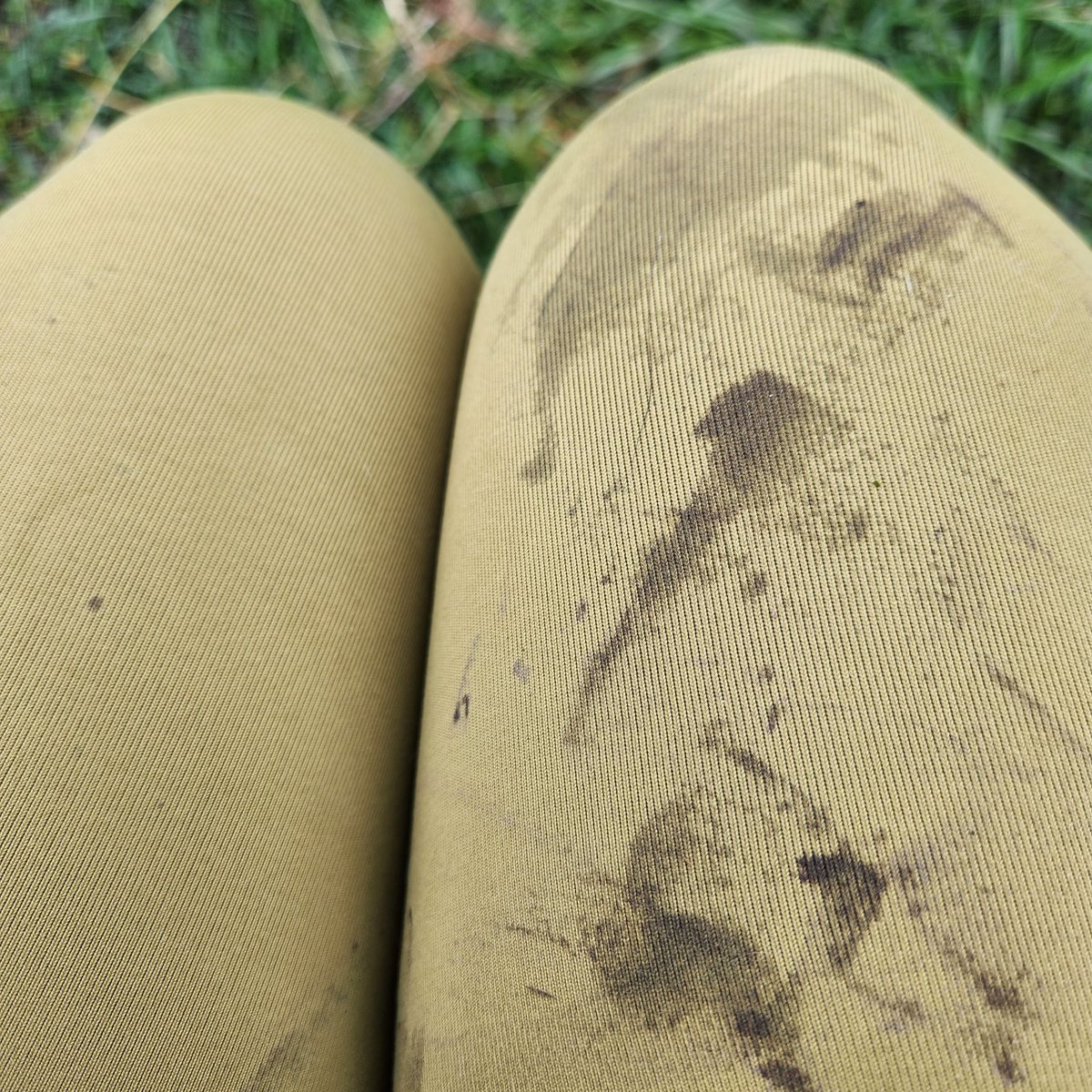 Jen4 Jordan; finger smasher & fierce bunny. tweet media