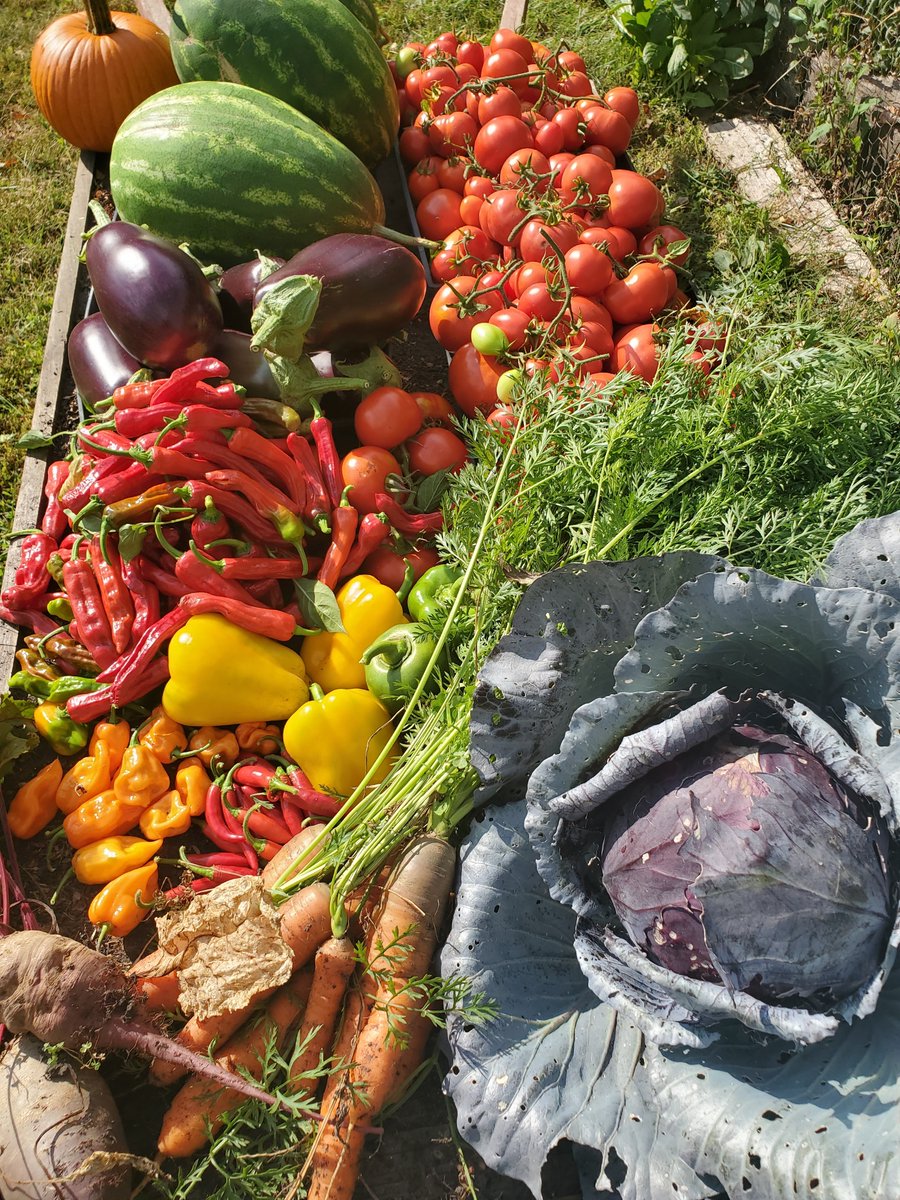 iTrueManDouglas's tweet photo. HOW TO EAT A RAINBOW -- an #haiku

Do Stars Shine As Bright
Pressing Through The Darkest Night
Rainbows Reflecting

#haiku #poem #poetry, #rainbow of #produce https://t.co/hXJD6LcHsN