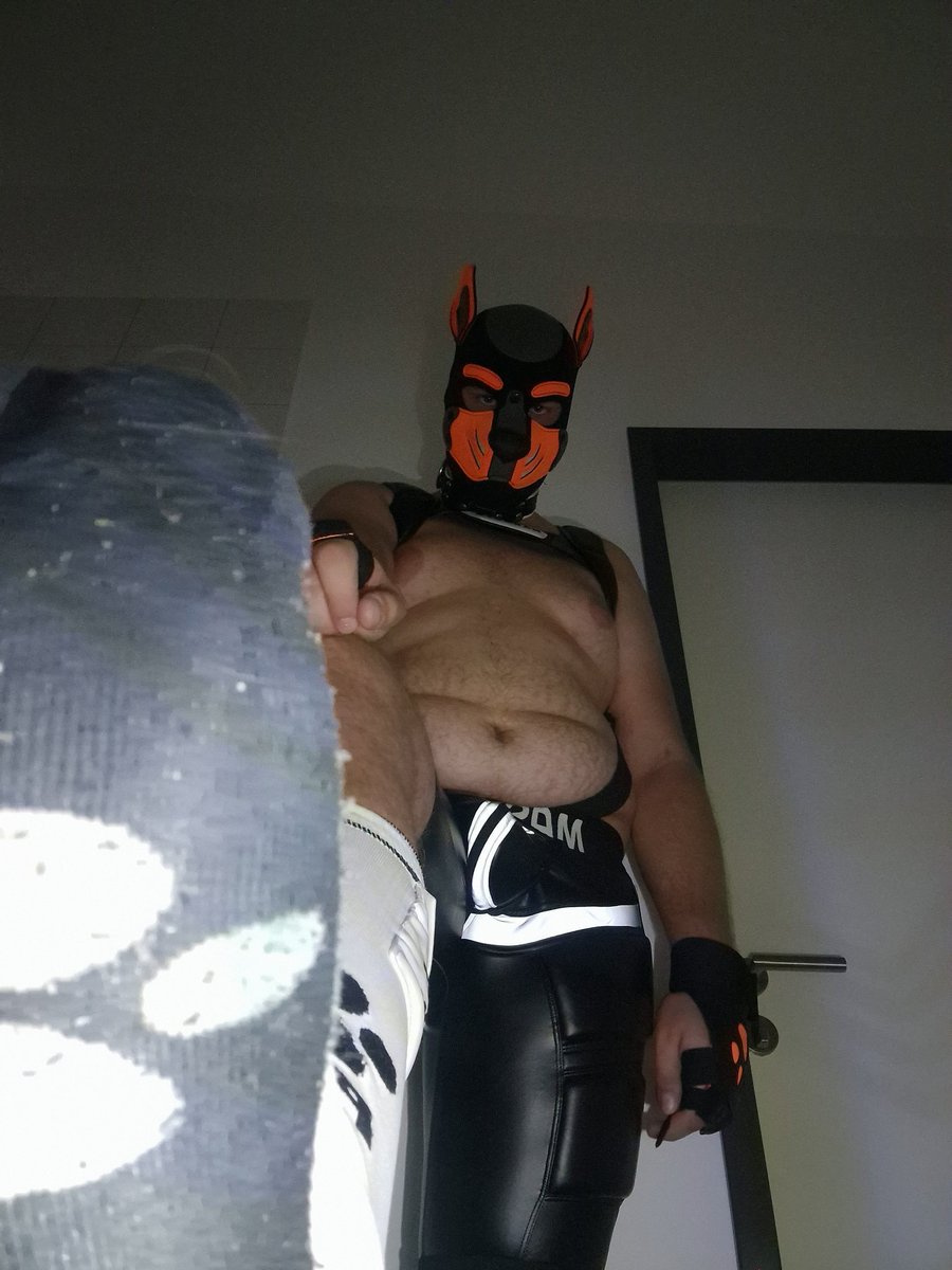 Wuffel_Oskar's tweet photo. or someone wants to sniff

 #wuffel #weekend #wruff #puppplay #puppy #petplayer #puppies #puppylove #photography #puppyfetisch #puppylife #gaypuppylove #gaypuppyplay #gaypups #gaypuppyplaycommunity #gaypuppypride❤️💛💚💙💜 #gaypuppylife #kinky #fetisch https://t.co/1urI4OgHND
