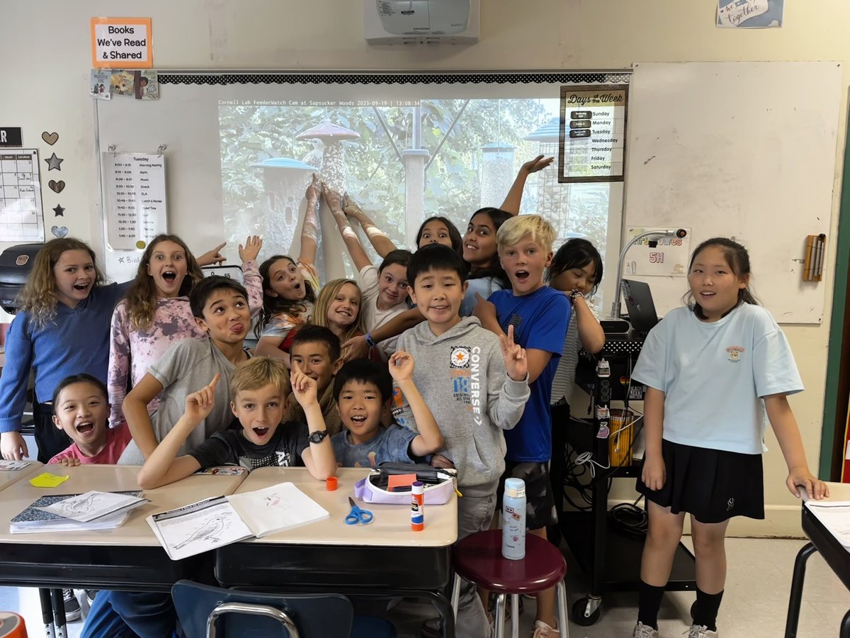 We were super patient and the birds graced us with their presence. So many!