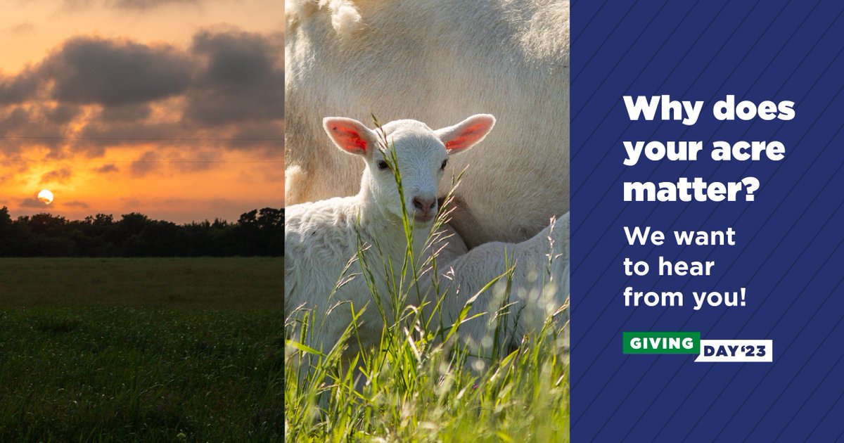 nobleresinst's tweet image. Ranching impacts everyone—from the #rancher to the consumer. It impacts the water you drink, the food you eat, the air you breathe, and the #soil beneath your feet. That’s why every single acre matters.

So, tell us about your ranch, why does your acre matter?