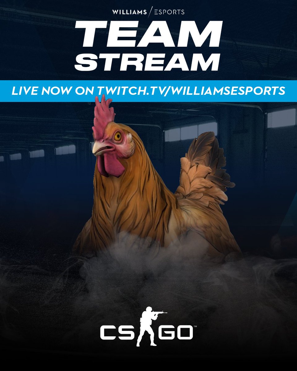🐔 Farewell CS:GO 👋

Come and watch the Team Stream, as the drivers show off their Gaming Skills! 🎮

📺 LIVE now on twitch.tv/williamsesports! 

#WilliamsEsports #Gaming
