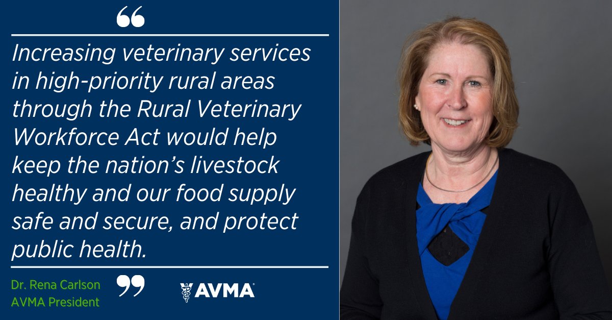 BREAKING: Senate & House reintroduce the AVMA-championed Rural Veterinary Workforce Act. Formerly known as the #VMLRP Enhancement Act, the bill would increase access to veterinary services in rural shortage areas designated by @USDA_NIFA. Full story: bit.ly/3RubT2M