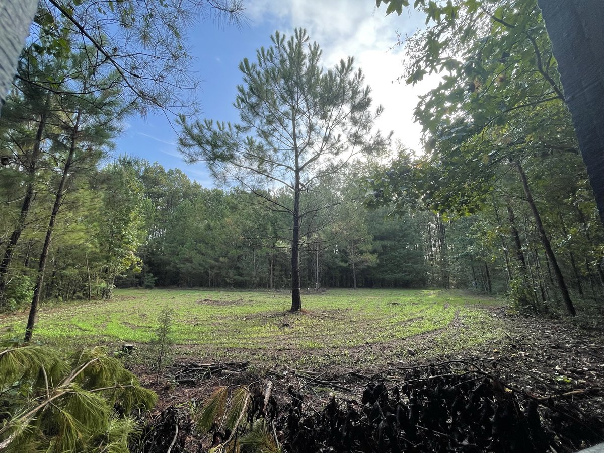 Take me back to this view! #huntlife