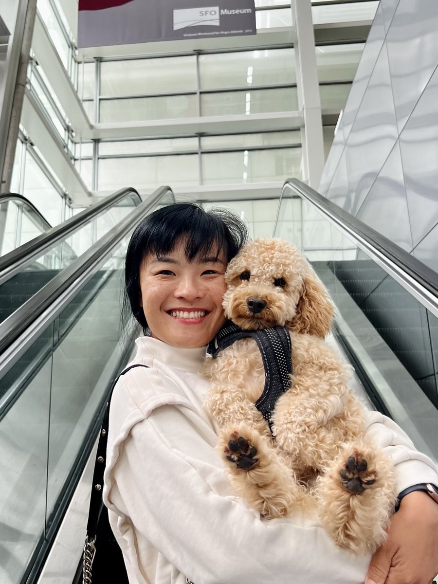 TurtleTree_'s tweet image. Nothing to see here—just our CQTO (Chief Cutie Officer) being ferried to his next appointment in style 💁♀️
#TurtleTree #TurtlesAtPlay #StartupLife #Doggos