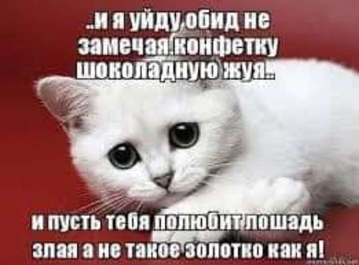 Piol (@pritulatan) on Twitter photo 