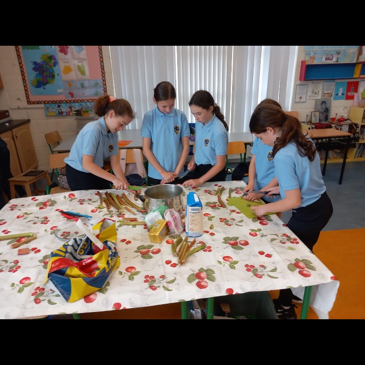CloneenNS's tweet photo. All classes have been busy harvesting the vegetables grown in our school garden and poly tunnel 🥕🧅🥔🥬 https://t.co/WyW6V50VSA