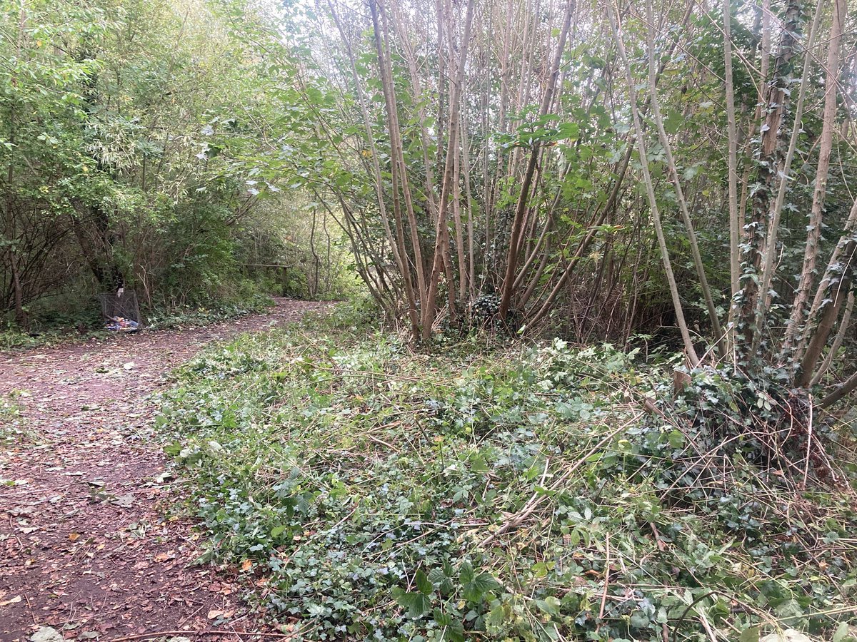 <a href="/CETBrum/">CET</a> <a href="/SuttonParkNNR/">Sutton Ranger</a> <a href="/CocaCola_GB/">Coca-Cola GB</a> <a href="/BOSFonline/">BOSF - @bosfonline.bsky.social 🦋</a> <a href="/NaturallyBirmi1/">Naturally Birmingham</a> <a href="/TCVtweets/">The Conservation Volunteers (TCV)</a> <a href="/PauletteHamilto/">Paulette Hamilton MP</a> <a href="/unibirmingham/">Uni of Birmingham</a> <a href="/WTBBC/">Birmingham & Black Country Wildlife Trust</a> Great work, it’s looking clearer now 💪