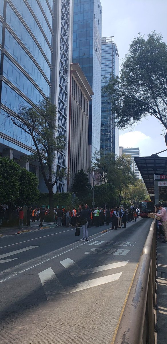 TecStudentPosts's tweet image. #SimulacroNacional2023  en la Del Valle Norte y Nápoles #AlertaSismica #19deSeptiembre @BJAlcaldia @AccionesBJ @STaboadaMx