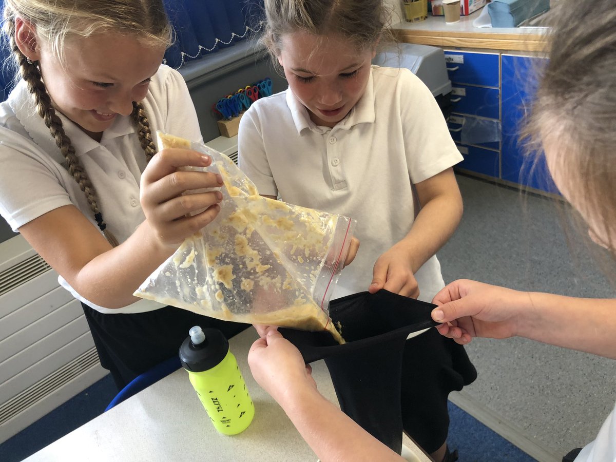 PatPriAcad's tweet photo. Continuing our enquiries into the human digestive system, Year 4 simulate the path food takes. Their expressions were priceless and the learning was unmatched. Well done for persevering with the gooey mess! ๐ #pat4sci #patscience #eboractrust #thepathfoodtakes #activelearning https://t.co/zRtEX76CC7