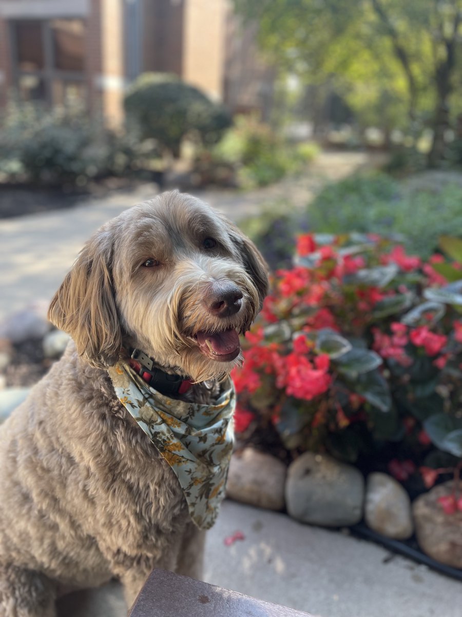 RMHC Central Indiana tweet media