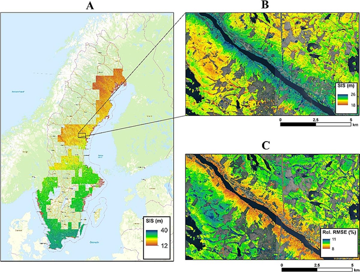 Mensah @AlexAppiahMensa et al. Mapping site index in coniferous forests using bi-temporal airborne laser scanning data &amp; field data from the Swedish national forest inventory. #lidar #NFI
➡️Nationwide #siteindex maps at grid resolution of 12.5 × 12.5 m. 🇸🇪
sciencedirect.com/science/articl…