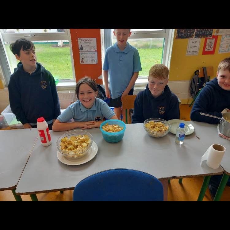 CloneenNS's tweet photo. Junior and Senior infants made a delicious salad; 1st and 2nd class made soup, mashed potatoes and an apple and blackberry crumble; 3rd and 4th class made some rhubarb crumble; while 5th and 6th class made potatoes chips as well as beetroot chips and some apple crumble. https://t.co/pVJw0SwEib